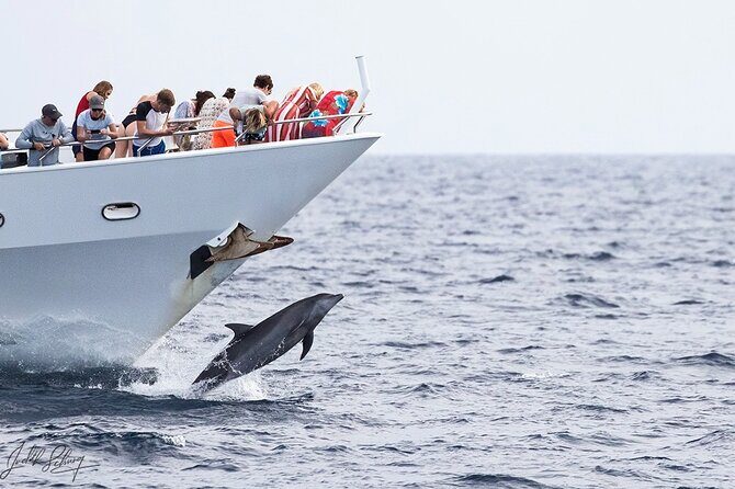 Klein Curacao Superyacht and Beach house - The Crew and Service: Making the Difference