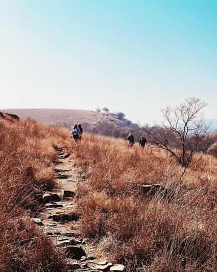 Klipriviersberg Nature Reserve 10km Hike - Booking and Transportation