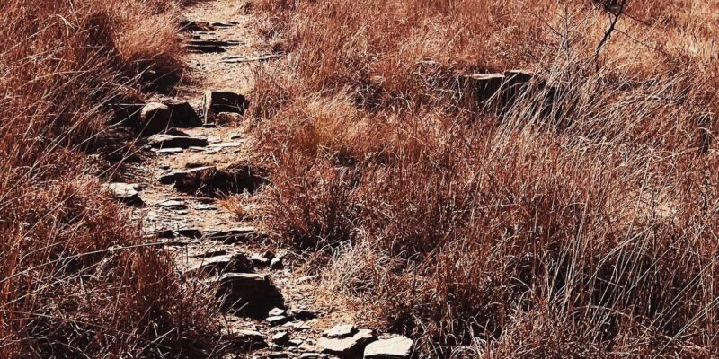 Klipriviersberg Nature Reserve 10km Hike - Explore Scenic Trails
