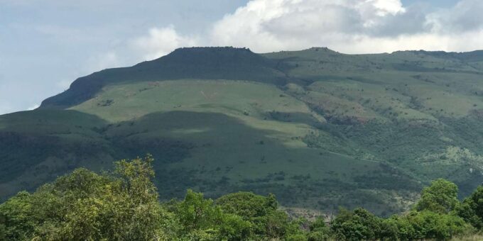 Klipriviersberg Nature Reserve 10km Hike - Preserve Natures Tranquility