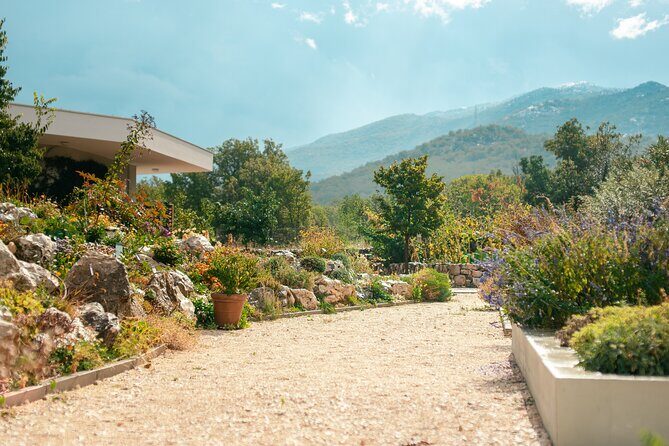 Klis Fortress, Stella Croatica and Vranjaca Cave Private Tour - The Journey Begins: Klis Fortress—A Fortress of History and Legends