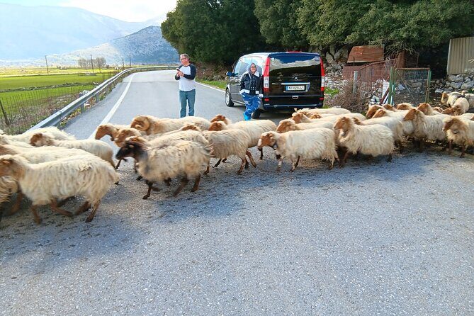 Knossos & Lasithi Plateau: Villages, Olive Oil Tour From Elounda - An In-Depth Look at Your Crete Adventure