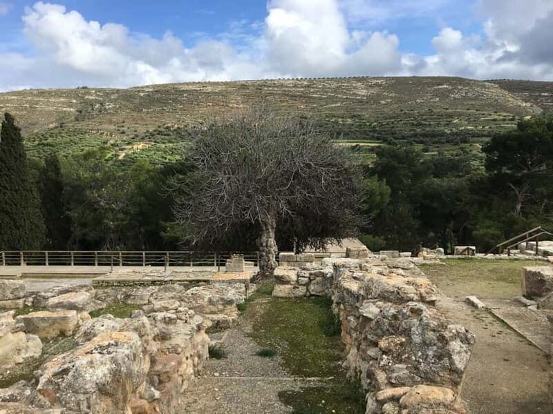 Knossos Palace ( Private tour Skip-The-Line ) - Why This Tour Offers Good Value