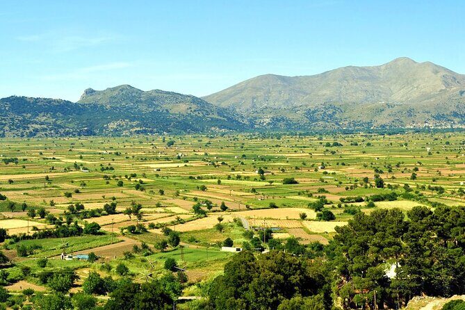 Knossos, Tracing Zeus in Mythic Landscapes & Olive Mill | Private - Who Will Love This Tour?