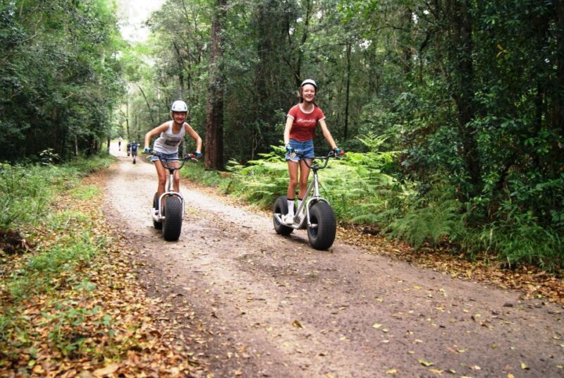 Knysna: Downhill Forest Scootour Adventure - Good To Know