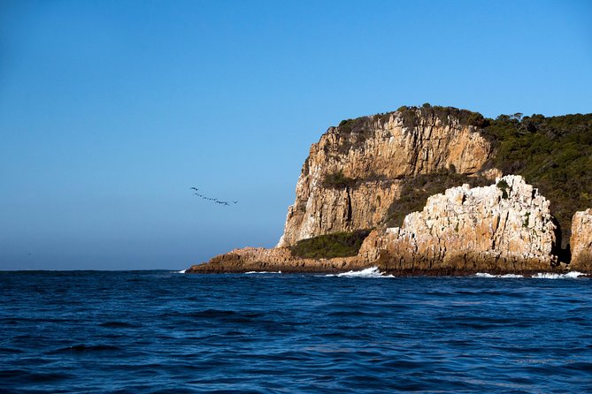 Knysna Heads & Lagoon Adventure Tour - Discovering Knysna Heads