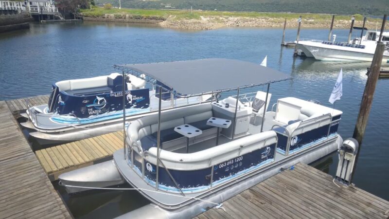 Knysna Lagoon: Pontoon Sunset Cruise - Diverse Wildlife Sightings