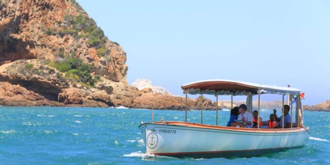 Knysna: Sightseeing Cruise on Coquette - Experience the Coquette