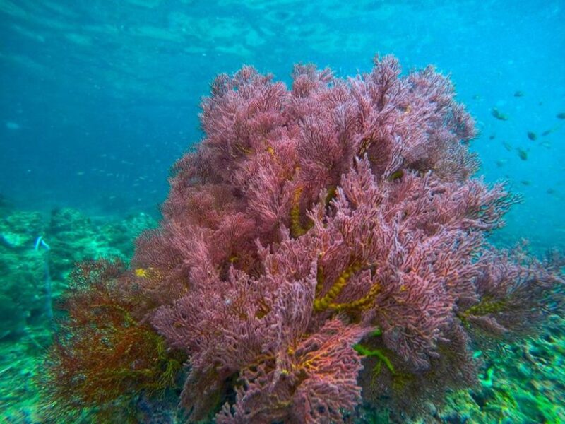 Ko Lanta: 4 Islands and Emerald Cave Snorkeling Trip - Customer Reviews and Ratings