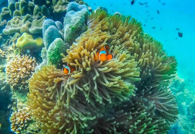 Ko Lanta: 4 Islands and Emerald Cave Snorkeling Trip - What to Expect