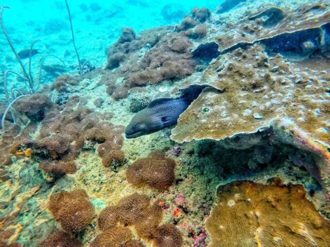 Ko Lanta: 4 Islands and Emerald Cave Snorkeling Trip - Additional Information