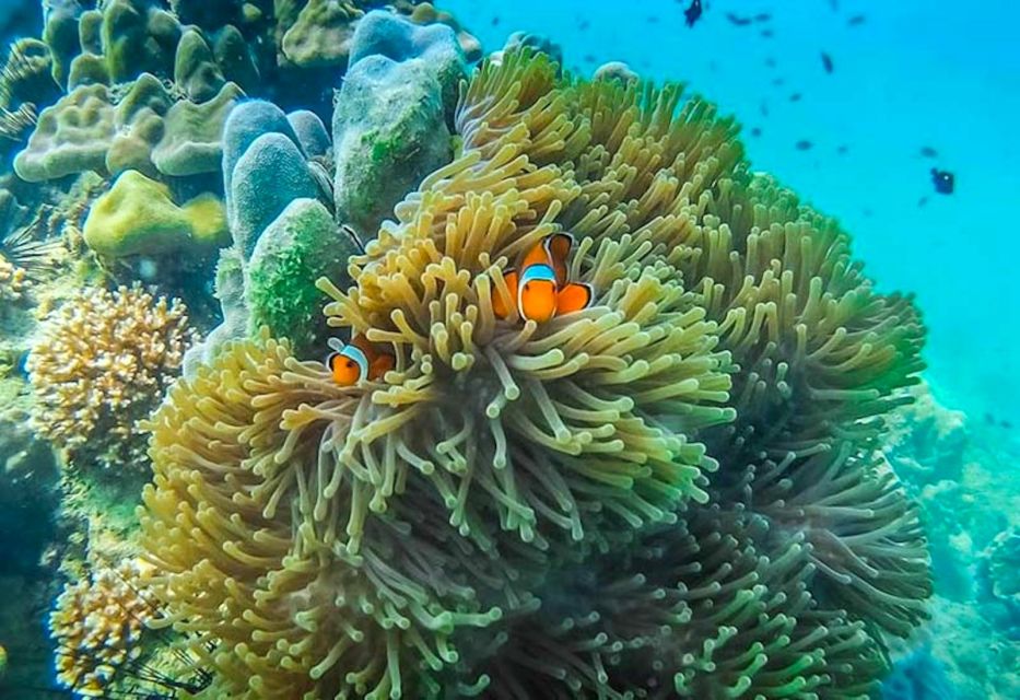 Ko Lanta: 4 Islands and Emerald Cave Snorkeling Trip - Lunch and Relaxation