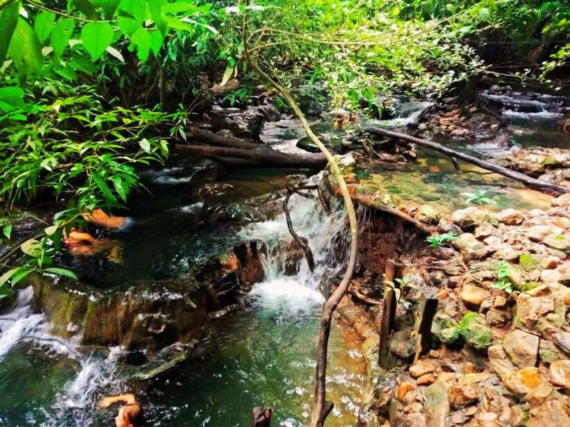 Ko Lanta: Full Day Emerald Pool&Hot Spring With Tiger Temple - Inclusions and Exclusions