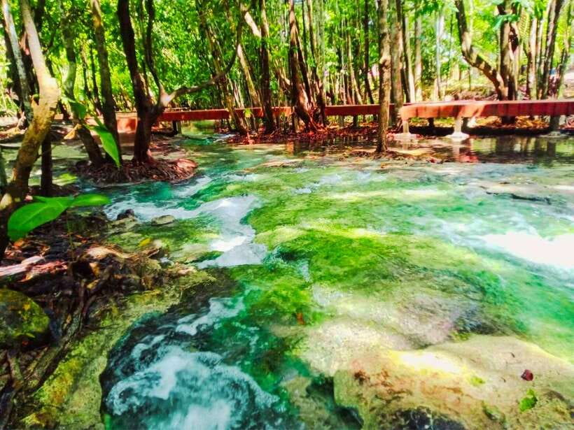 Ko Lanta: Full Day Emerald Pool&Hot Spring With Tiger Temple - Suitability