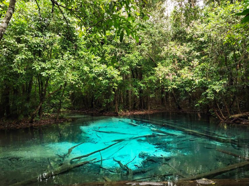 Ko Lanta: Full Day Emerald Pool&Hot Spring With Tiger Temple - Customer Reviews