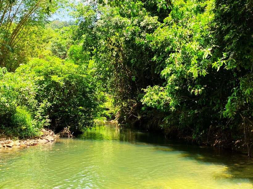Ko Lanta: Full Day Emerald Pool&Hot Spring With Tiger Temple - Frequently Asked Questions