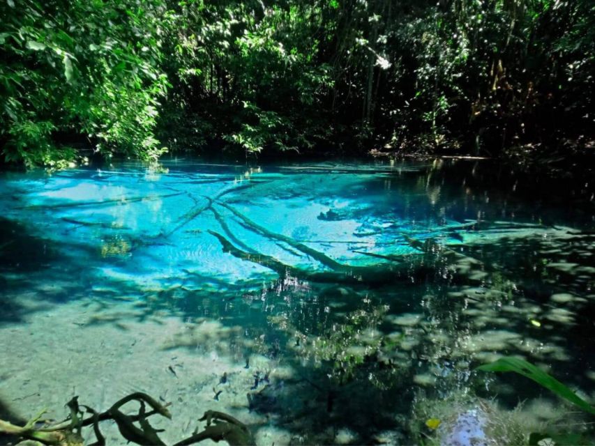Ko Lanta: Full Day Jungle Tour With Tiger Temple - Inclusions and Exclusions