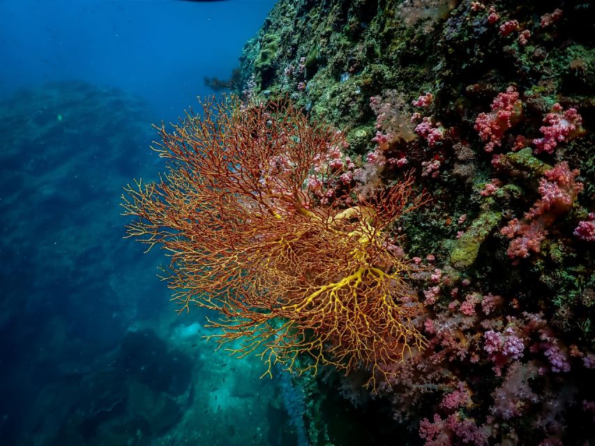 Ko Lanta: Fun Fishing, Snorkeling Tour With Lunch on Ko Ngai - Cancellation and Payment Policy