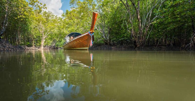 Ko Lanta: Half-Day Mangrove Boat Trip With Local Guide - Guided Activities