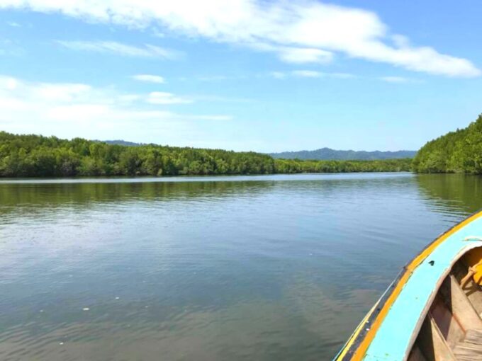 Ko Lanta: Half-Day Mangrove Boat Trip With Local Guide - Customer Feedback Highlights