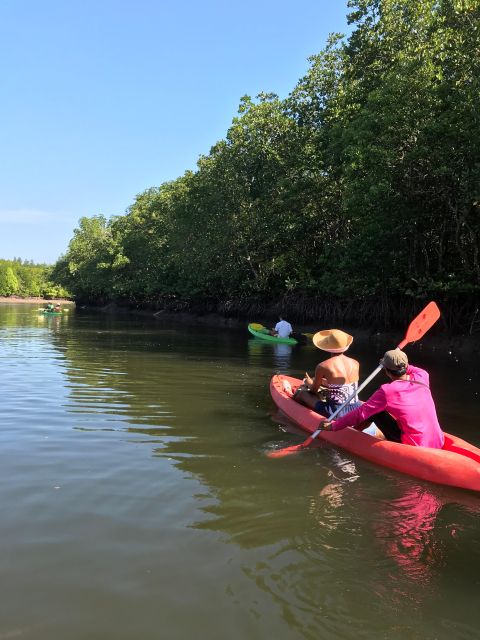 Ko Lanta: Half-Day Mangrove Kayaking Tour With Lunch - Highlights of the Mangrove Kayaking Tour