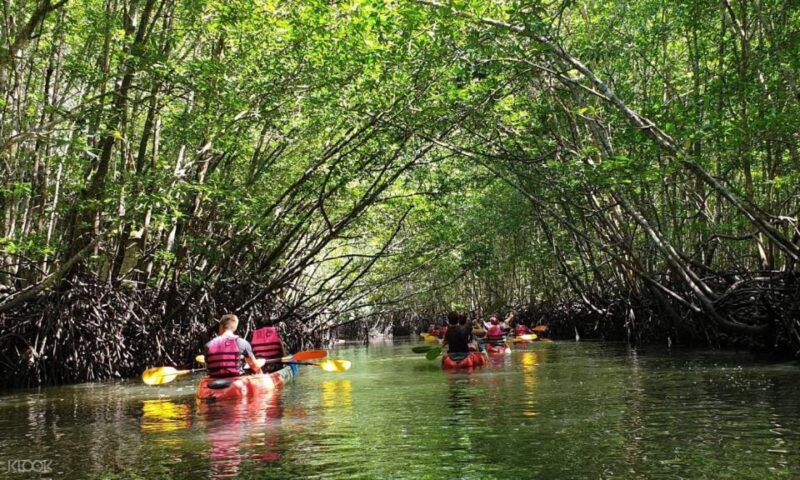 Ko Lanta: Half-Day Mangrove Kayaking Tour With Lunch - Diverse Marine Life to Spot