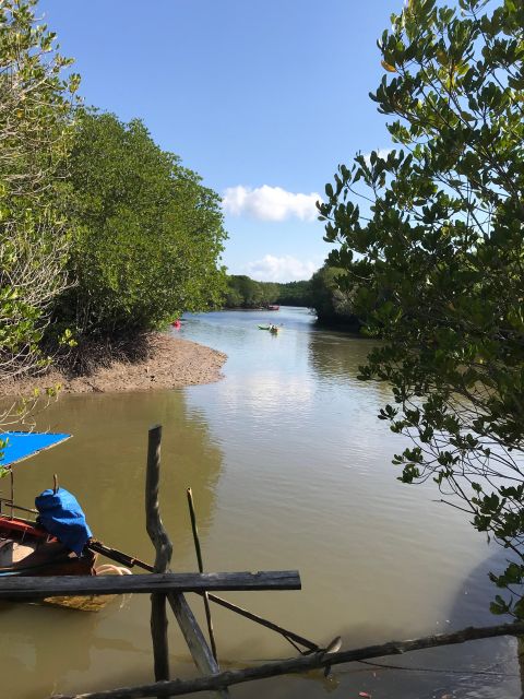 Ko Lanta: Half-Day Mangrove Kayaking Tour With Lunch - Visit to a Local Village and Fish Farm