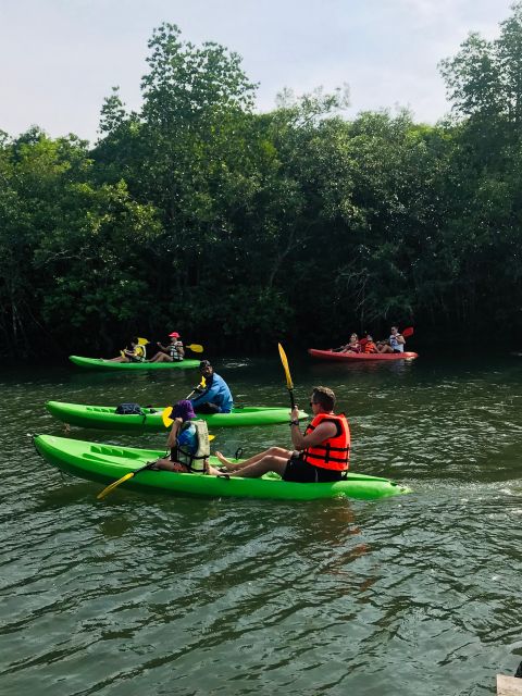 Ko Lanta: Half-Day Mangrove Kayaking Tour With Lunch - Customer Feedback and Ratings