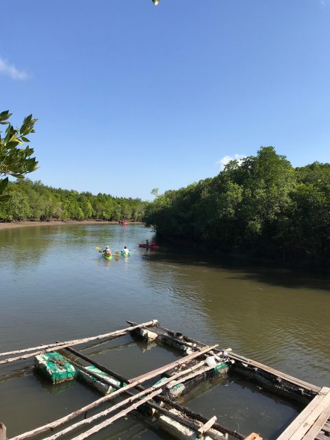 Ko Lanta: Half-Day Mangrove Kayaking Tour With Lunch - Logistical Details