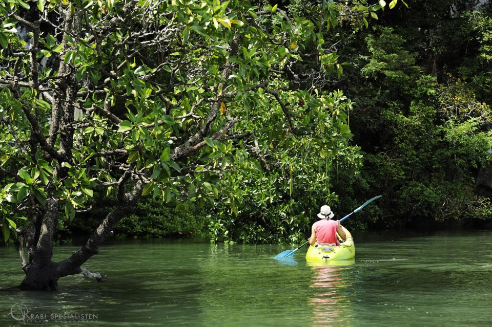 Ko Lanta: Half-Day Mangrove Kayaking Tour With Lunch - Discover Mangrove Forests