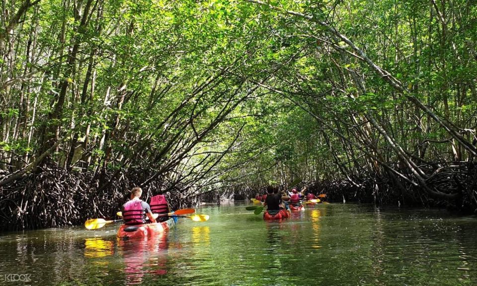 Ko Lanta: Half-Day Mangrove Kayaking Tour With Lunch - Spot Local Wildlife