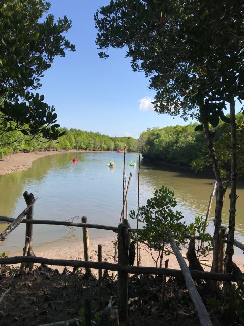 Ko Lanta: Half-Day Mangrove Kayaking Tour With Lunch - Encounter and Feed Monkeys