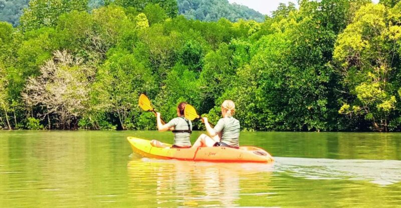 Ko Lanta: Half-Day Mangrove Kayaking With Lunch - Key Points