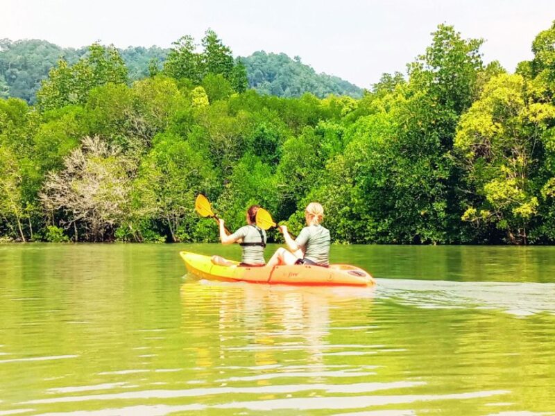 Ko Lanta: Half-Day Mangrove Kayaking With Lunch - Mangrove Kayaking Experience