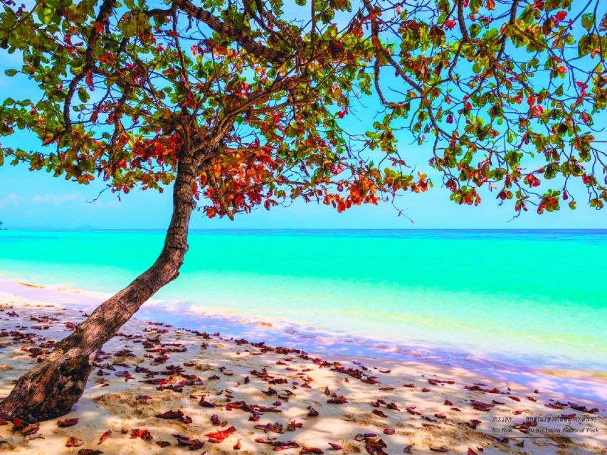 Ko Lanta: Koh Rok & Koh Haa Snorkelling Tour by Speedboat - Itinerary Overview