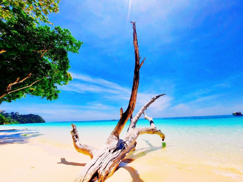 Ko Lanta: Koh Rok & Koh Haa Snorkelling Tour by Speedboat - Highlights of the Trip