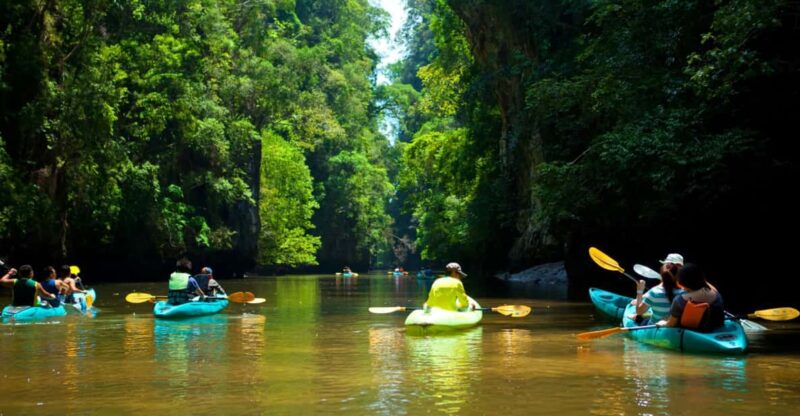 Ko Lanta: Mangrove Forest Kayak & Wildlife Adventure - Monkeys and Wildlife Encounters