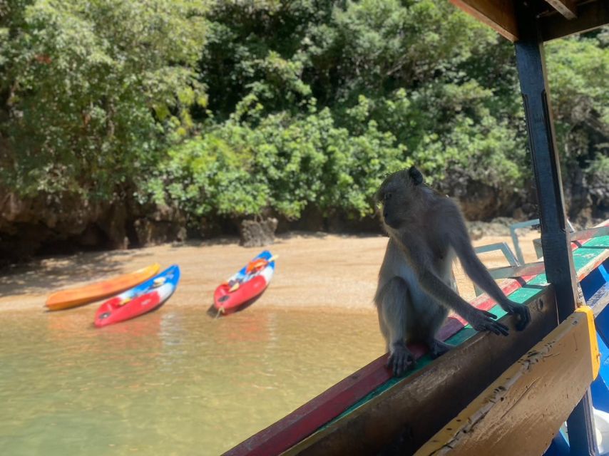 Ko Lanta: Mangrove Kayaking, Ko Talabeng, & Skull Island - Sightseeing on a Longtail Boat