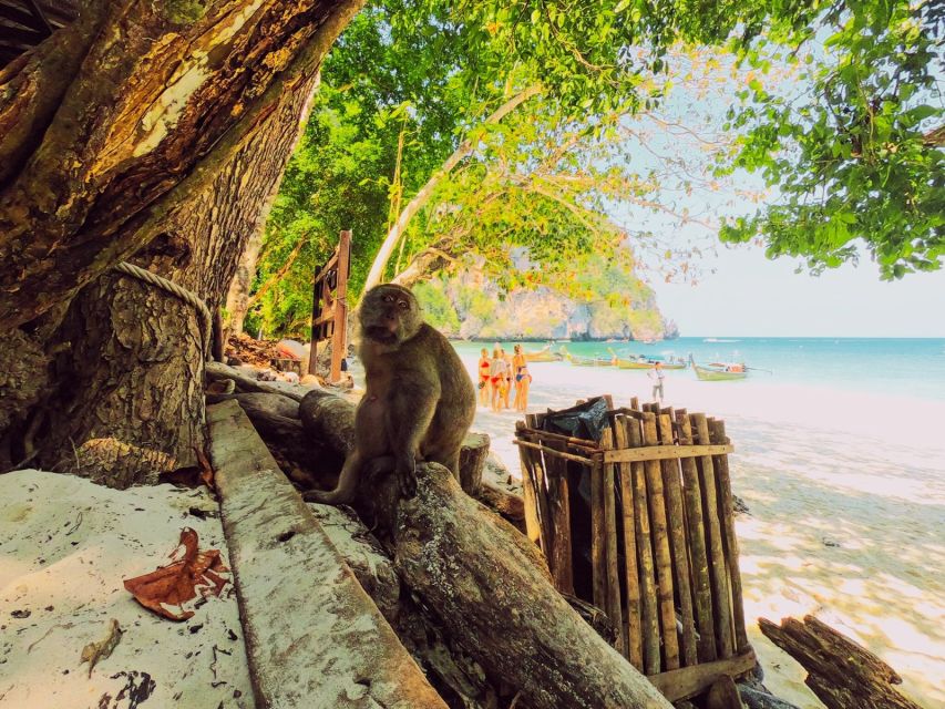 Ko Lanta: Phi Phi Day Trip by Speed Boat - Tour Duration and Language Options