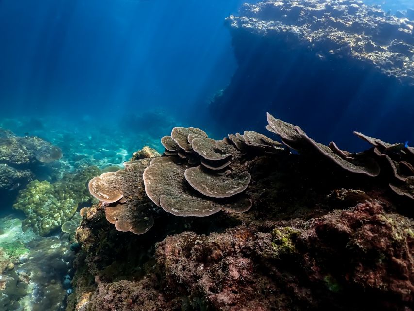 Ko Lanta: Private Snorkeling Tour at Ko Ma, Ko Ngai, Ko Mook - Morakot Cave
