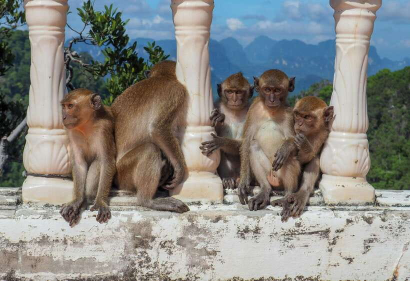 Ko Lanta: Private Tiger Cave, Hot Spring & Emerald Pool Tour - Availability and Booking