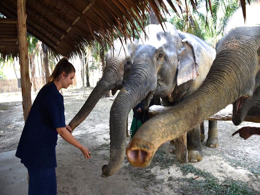 Ko Lanta Yai: Half-Day Ethical Elephant Sanctuary Tour - Key Points