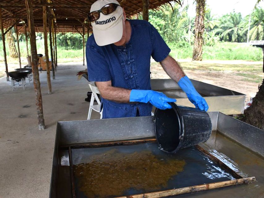 Ko Lanta Yai: Half-Day Ethical Elephant Sanctuary Tour - Elephant Interactions