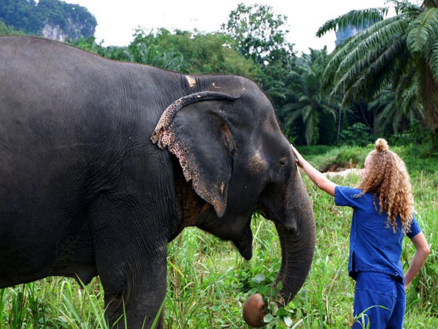 Ko Lanta Yai: Half-Day Ethical Elephant Sanctuary Tour - Bathing and Feeding
