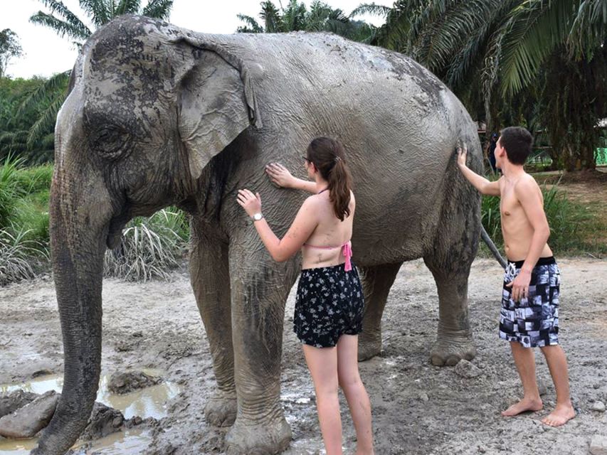 Ko Lanta Yai: Half-Day Ethical Elephant Sanctuary Tour - Medicinal Supplements