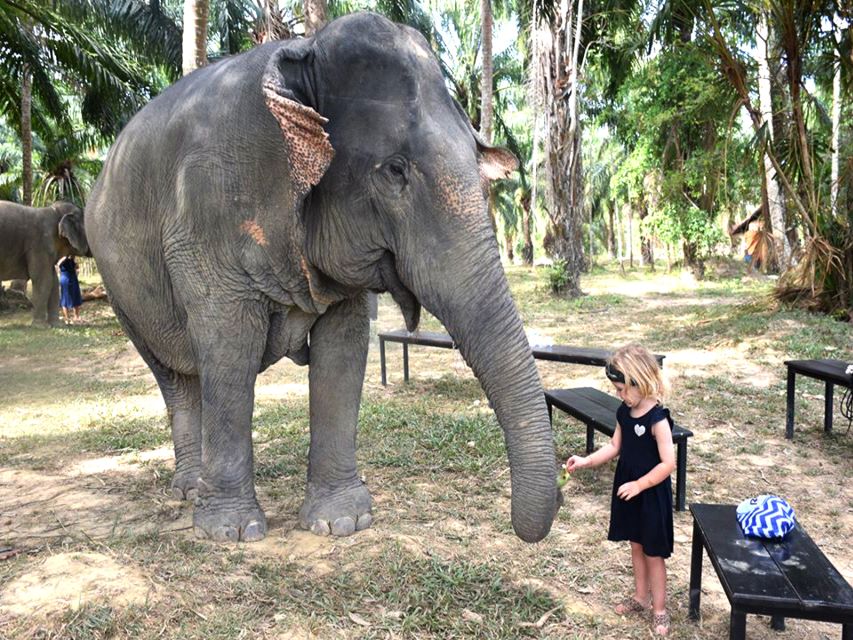 Ko Lanta Yai: Half-Day Ethical Elephant Sanctuary Tour - Highlights and Inclusions