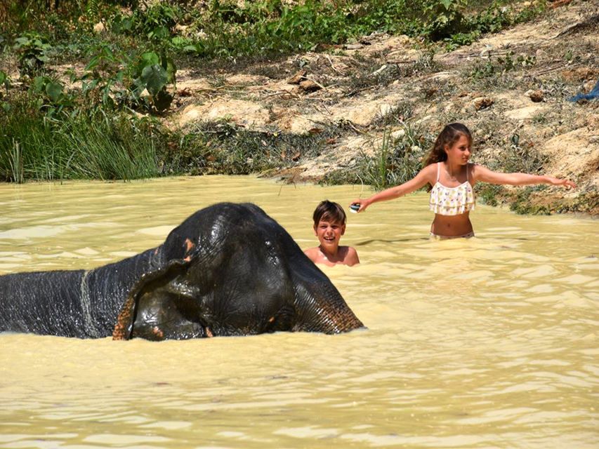 Ko Lanta Yai: Half-Day Ethical Elephant Sanctuary Tour - Accessibility and Restrictions
