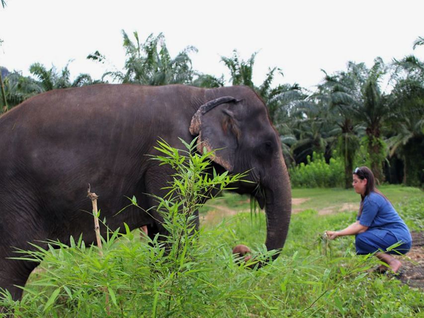 Ko Lanta Yai: Half-Day Ethical Elephant Sanctuary Tour - Tour Itinerary