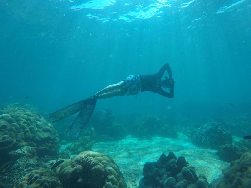 Ko Lipe: Outside Zone Snorkeling Trip by Longtail Boat - Activity Overview