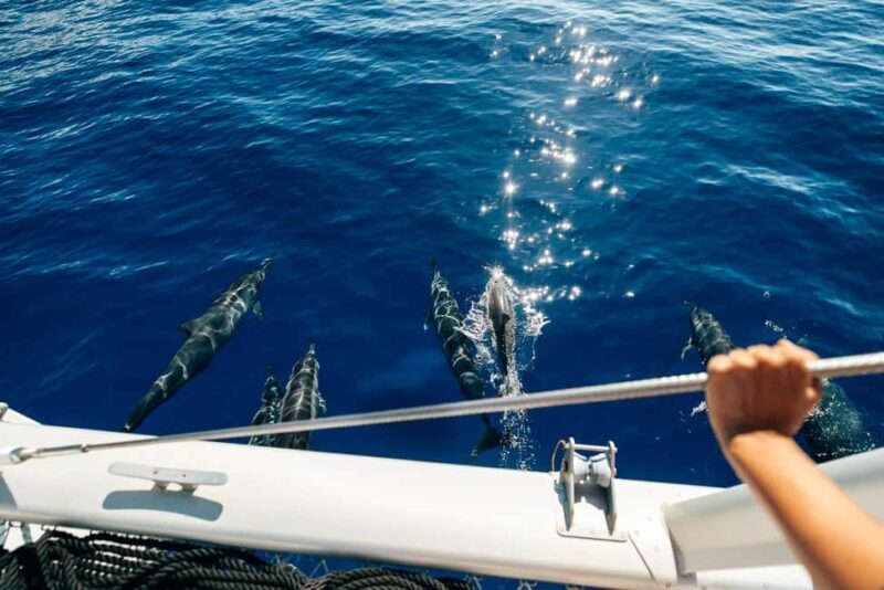 Ko Olina Exclusive Snorkel + Lunch - A Feast for the Senses: Lunch on Deck